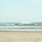 chiropractic care for families