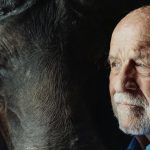 chiropractic tips for comfort