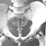 hip and pelvic alignment