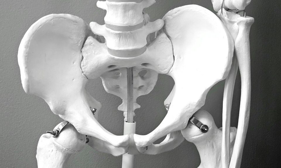 hip and pelvic alignment