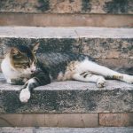 natural sleep improvement tips