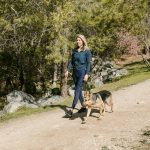 selecting top wake forest chiropractor