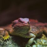 non invasive skin tightening